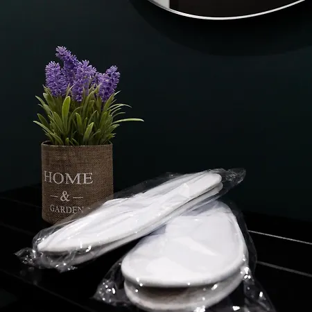 Apartmán Soni Exclusive Plaza With Private Parking & Self Check-in *